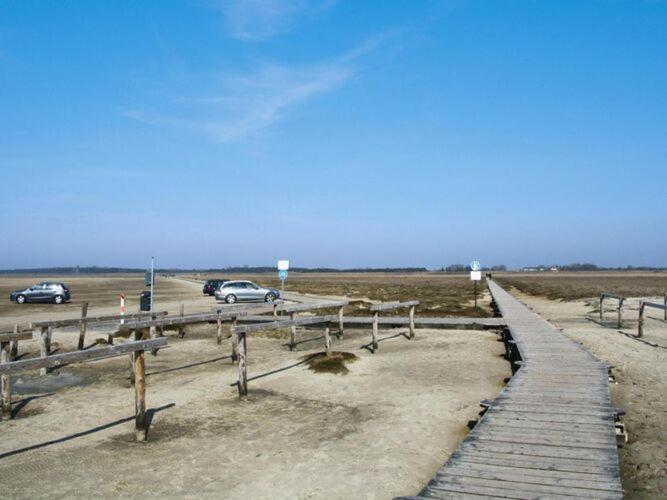 Apartment In St Peter-Ording In A Natural Environment Sankt Peter-Ording Extérieur photo